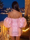 Organza Sheath Sweetheart Short Homecoming Dresses