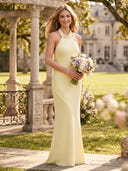 Mermaid Satin Halter Sleeveless Long Bridesmaid Dresses