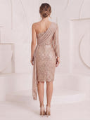 Glitter Sequin Mermaid One Shoulder Maxi Cocktail Dresses