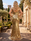 Plus Size Sequin Gold Evening Dresses Mermaid Formal Dress V Neck Wedding Golas