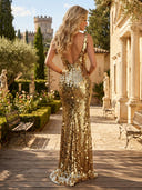 Sequin V Neck Mermaid Long Evening Dresses