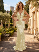 Sequin V Neck Mermaid Long Evening Dresses
