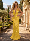 Sequin V Neck Mermaid Long Evening Dresses