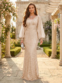 Sequin V Neck Mermaid Long Evening Dresses