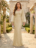 Sequin V Neck Mermaid Long Evening Dresses