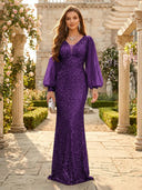 Sequin V Neck Mermaid Long Evening Dresses