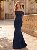 off the Shoulder Mermaid Lace Appliques Evening Dresses