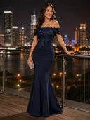 off the Shoulder Mermaid Lace Appliques Evening Dresses