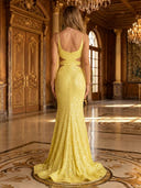 Mermaid Sequin V Neck Sleeveless Long Evening Dresses