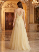 Spaghetti Straps A Line V Neck Sleeveless Long Evening Dresses