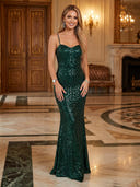 Sequin Mermaid Sweetheart Sleeveless Long Evening Dresses