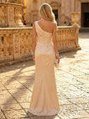 Satin Mermaid One Shoulder Long Evening Dresses with Slit