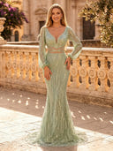 Sequin Mermaid V Neck Long Sleeves Long Evening Dresses
