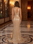 Sequin V Neck Sleeveless Mermaid Long Evening Dresses