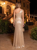 Sheath/Column Evening Dresses with Feather Metallic Satin One Shoulder Sleeveless Floor Length Dresses with Pleats/Back Zipper