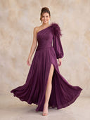 Satin Evening Dresses with Slit A Line One Shoulder Long Sleeves Floor Lengh Formal Dresses with Feather/Zipper Back