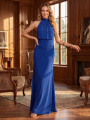 Mermaid Evening Dresses Chiffon Halter Sleeveless Long Formal Dresses with Pleats/Back Zipper