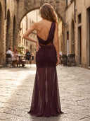 Tulle Mermaid One Shoulder Long Formal Dresses with Pleats Wedding Guest Maxi Dresses