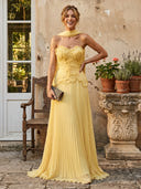 A Line Pleated Sweetheart Sleeveless Formal Dresses with Scarf