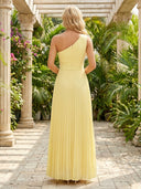 A Line Formal Dresses Chiffon V Neck Long Sleeve Formal Dresses with Pleats Wedding Guest Maxi Dresses