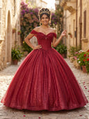 Tulle Sequin A Line Corset V Neck Long Formal Dresses