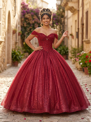 Tulle Sequin A Line Corset V Neck Long Formal Dresses
