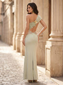 Chiffon Mermaid One Shoulder Long Sheath Formal Dresses