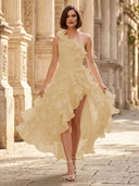 Chiffon A Line Formal Dresses Pleated One Shoulder Sleeveless Long Wedding Guest Maxi Dresses