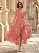 Chiffon A Line Formal Dresses Pleated One Shoulder Sleeveless Long Wedding Guest Maxi Dresses