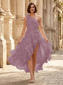 Chiffon A Line Formal Dresses Pleated One Shoulder Sleeveless Long Wedding Guest Maxi Dresses