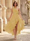 Chiffon A Line Formal Dresses Pleated One Shoulder Sleeveless Long Wedding Guest Maxi Dresses
