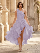 Chiffon A Line Formal Dresses Pleated One Shoulder Sleeveless Long Wedding Guest Maxi Dresses