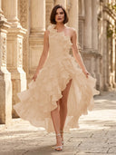 Chiffon A Line Formal Dresses Pleated One Shoulder Sleeveless Long Wedding Guest Maxi Dresses