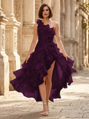 Chiffon A Line Formal Dresses Pleated One Shoulder Sleeveless Long Wedding Guest Maxi Dresses