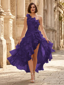 Chiffon A Line Formal Dresses Pleated One Shoulder Sleeveless Long Wedding Guest Maxi Dresses