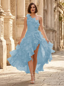 Chiffon A Line Formal Dresses Pleated One Shoulder Sleeveless Long Wedding Guest Maxi Dresses