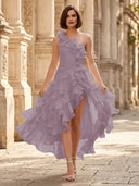 Chiffon A Line Formal Dresses Pleated One Shoulder Sleeveless Long Wedding Guest Maxi Dresses