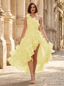 Chiffon A Line Formal Dresses Pleated One Shoulder Sleeveless Long Wedding Guest Maxi Dresses