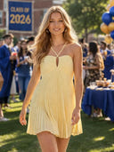 Chiffon Pleated Spaghetti Straps Short A Line Homecoming Dresses
