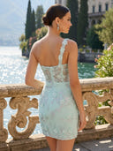 Lace One Shoulder Corset Mermaid Short Homecoming Dresses