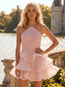 Tulle A Line Short Halter Sleeveless Tiered Homecoming Dresses