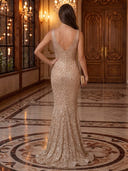 Sequin Mermaid V Neck Sleeveless Long Evening Dresses